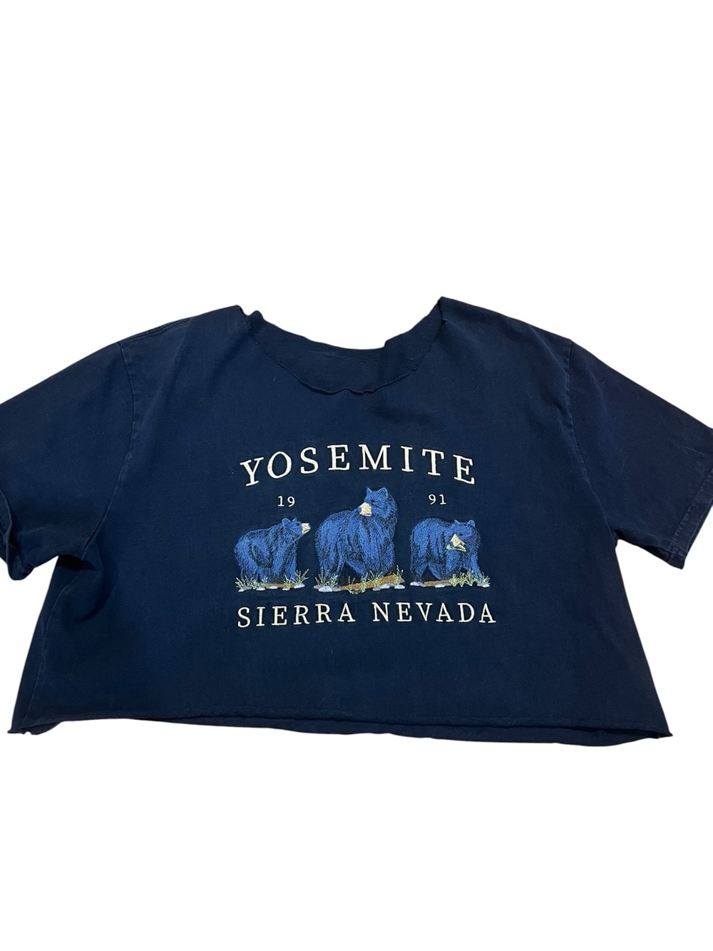 Yosemite Sierra Nevada Navy Graphic Tee